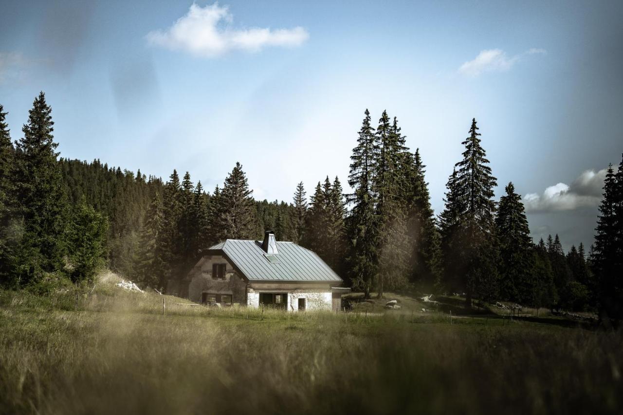 La Loge De La Dolarde - Chambre Nord-Est Hotel Prémanon Exterior foto