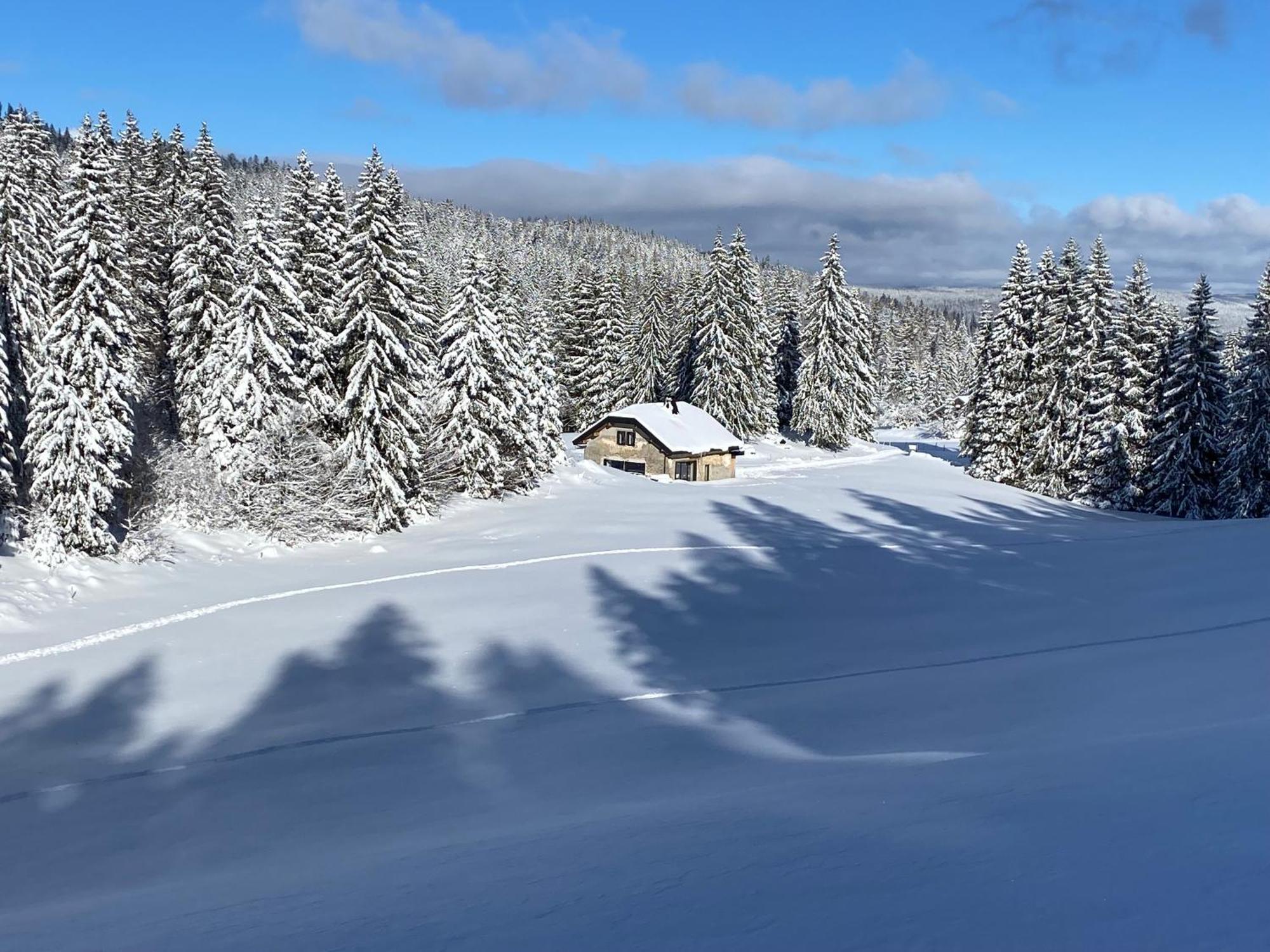 La Loge De La Dolarde - Chambre Nord-Est Hotel Prémanon Exterior foto